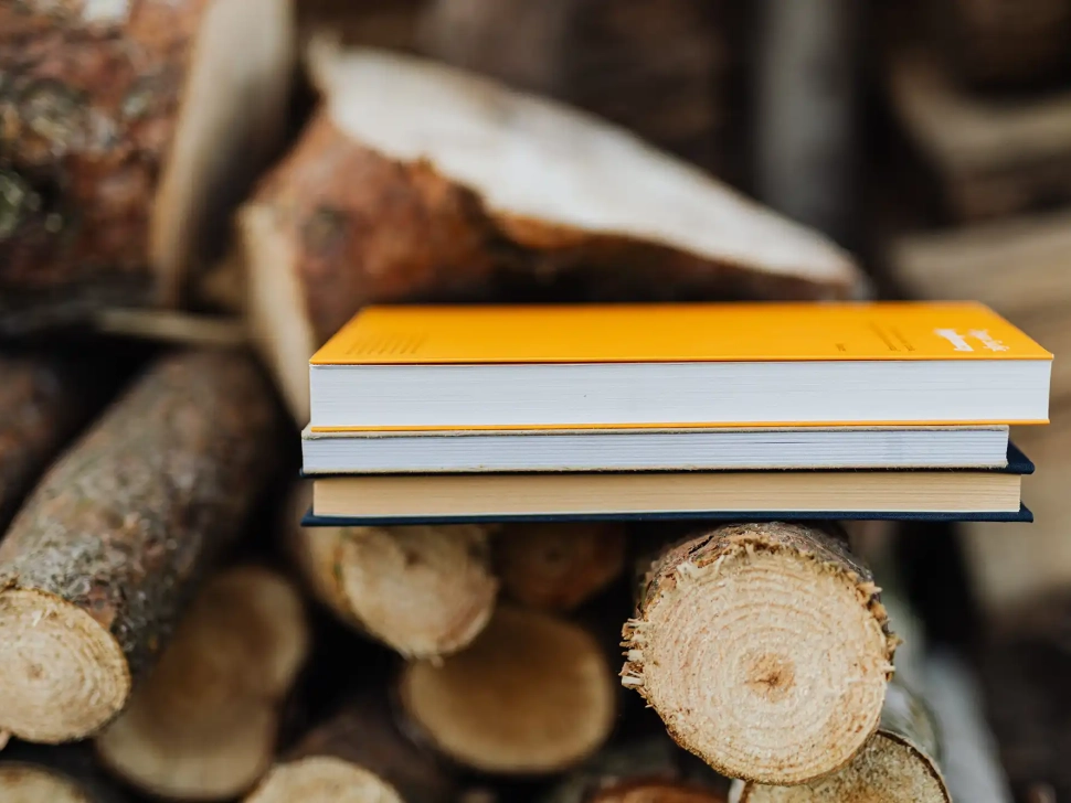 risorse agile e scrum